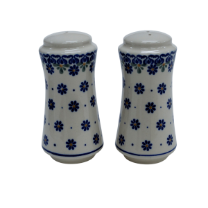 Salt and pepper shakers (A16 D53)