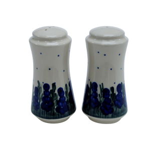 Salt and pepper shakers (A16 D19)