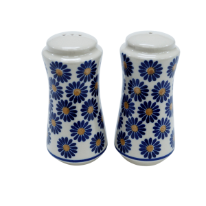 Salt and pepper shakers (A16 D41)