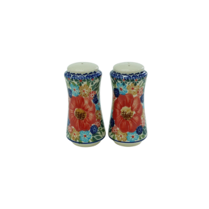 Salt and pepper shakers (A16 D60)