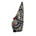 A509 D6