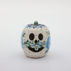 Small pumpkin Big Brother (A446 D58)       