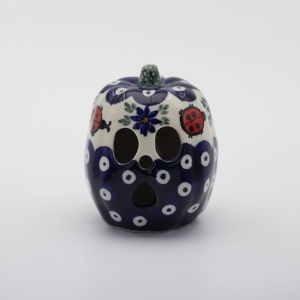 Small pumpkin Czesio (A444 D105)     