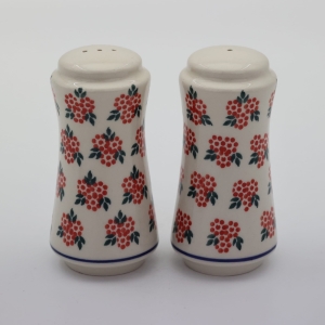Salt and pepper shakers (A16 D57)     